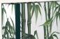 Preview: Folder "bamboo"